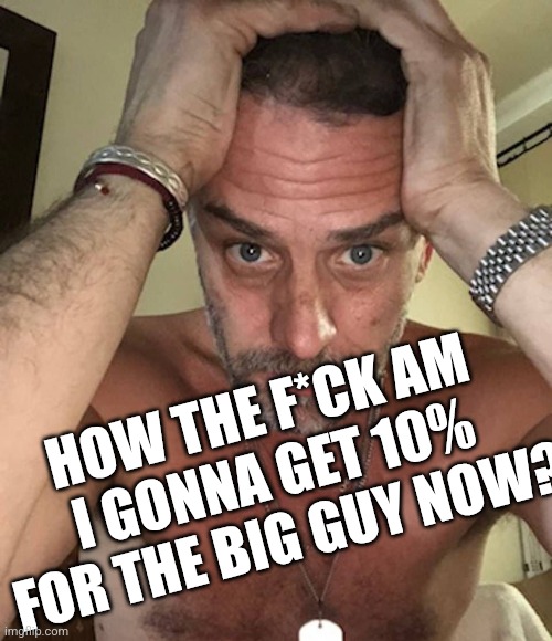 Sad Hunter Biden | HOW THE F*CK AM I GONNA GET 10% FOR THE BIG GUY NOW? | image tagged in sad hunter biden | made w/ Imgflip meme maker