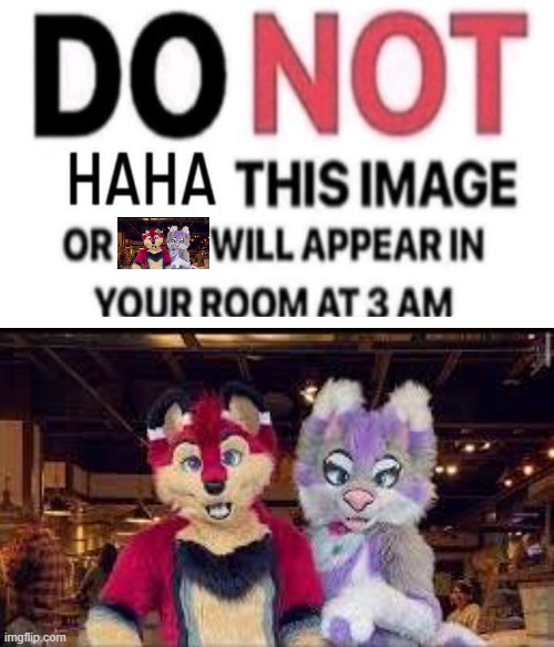. | image tagged in do not haha this image,furries,shitpost,cartoon,why are you reading the tags | made w/ Imgflip meme maker