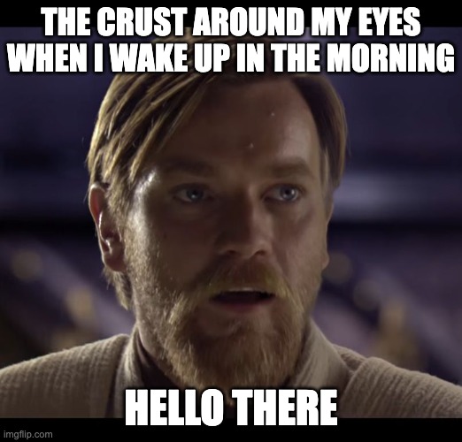 crusty | THE CRUST AROUND MY EYES WHEN I WAKE UP IN THE MORNING; HELLO THERE | image tagged in memes,hello there | made w/ Imgflip meme maker