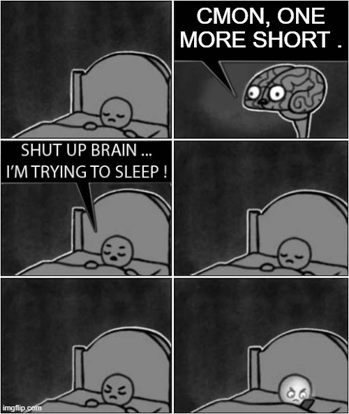 insert creative title here | CMON, ONE MORE SHORT . | image tagged in shut up brain i'm trying to sleep,relatable | made w/ Imgflip meme maker