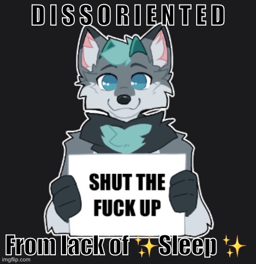 STFU | D I S S O R I E N T E D; From lack of ✨Sleep ✨ | image tagged in stfu | made w/ Imgflip meme maker