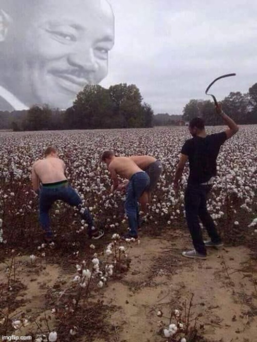 this image is killing me | made w/ Imgflip meme maker