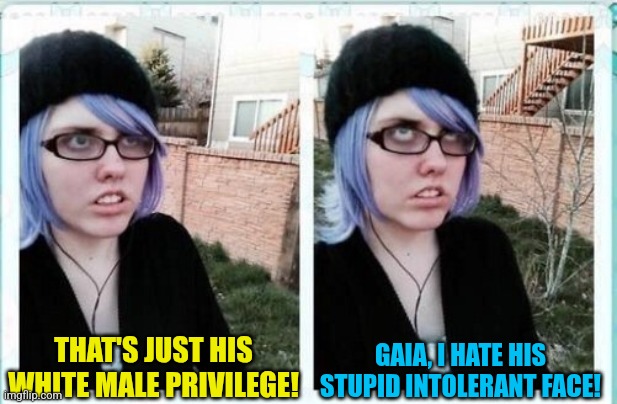 SJW eyeroll | THAT'S JUST HIS WHITE MALE PRIVILEGE! GAIA, I HATE HIS STUPID INTOLERANT FACE! | image tagged in sjw eyeroll | made w/ Imgflip meme maker