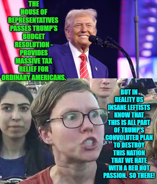 Yes . . . listen to the insane Left, because they HAVE to be right . . . some day. | THE HOUSE OF REPRESENTATIVES  PASSES TRUMP’S BUDGET RESOLUTION - PROVIDES MASSIVE TAX RELIEF FOR ORDINARY AMERICANS. BUT IN REALITY US INSANE LEFTISTS KNOW THAT THIS IS ALL PART OF TRUMP'S CONVOLUTED PLAN TO DESTROY THIS NATION THAT WE HATE WITH A RED HOT PASSION.  SO THERE! | image tagged in yep | made w/ Imgflip meme maker