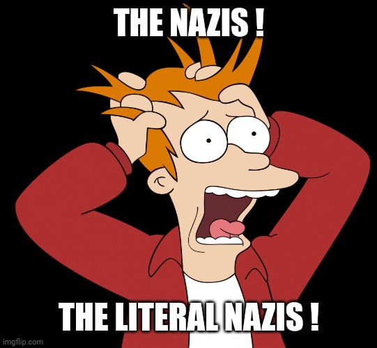 Futurama Fry Screaming | THE NAZIS ! THE LITERAL NAZIS ! | image tagged in futurama fry screaming | made w/ Imgflip meme maker