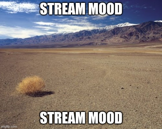 stream mood | STREAM MOOD; STREAM MOOD | image tagged in desert tumbleweed,stream mood | made w/ Imgflip meme maker