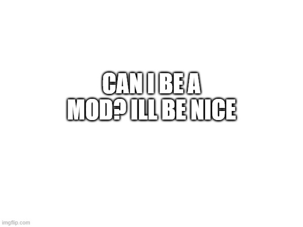 plz gimme mod | CAN I BE A MOD? ILL BE NICE | image tagged in memes | made w/ Imgflip meme maker