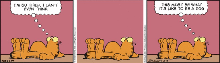 Garfield | image tagged in comics | made w/ Imgflip meme maker