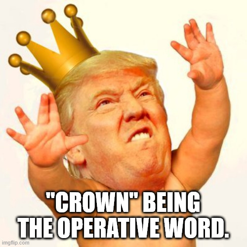 Trump baby w/ crown | "CROWN" BEING THE OPERATIVE WORD. | image tagged in trump baby w/ crown | made w/ Imgflip meme maker