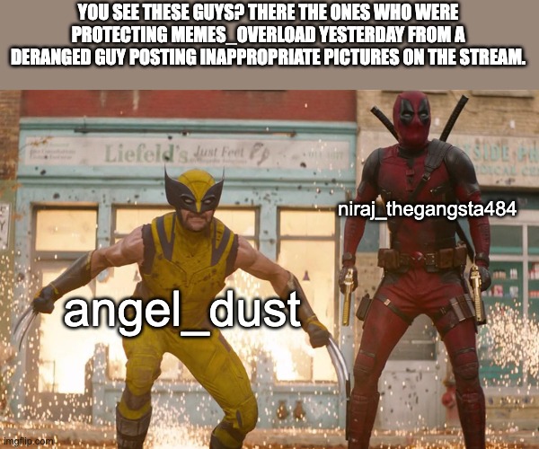 WE SAVED MEMES_OVERLOAD!!!! | YOU SEE THESE GUYS? THERE THE ONES WHO WERE PROTECTING MEMES_OVERLOAD YESTERDAY FROM A DERANGED GUY POSTING INAPPROPRIATE PICTURES ON THE STREAM. niraj_thegangsta484; angel_dust | image tagged in deadpool,wolverine | made w/ Imgflip meme maker