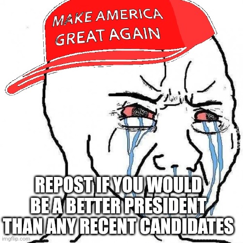 Crying wojak maga | REPOST IF YOU WOULD BE A BETTER PRESIDENT THAN ANY RECENT CANDIDATES | image tagged in crying wojak maga | made w/ Imgflip meme maker