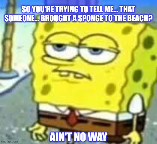 Why would anyone bring a sponge to the beach or ocean? TELL ME! | SO YOU'RE TRYING TO TELL ME... THAT SOMEONE... BROUGHT A SPONGE TO THE BEACH? AIN'T NO WAY | image tagged in spongebob,why,confused,my life,ocean,beach | made w/ Imgflip meme maker