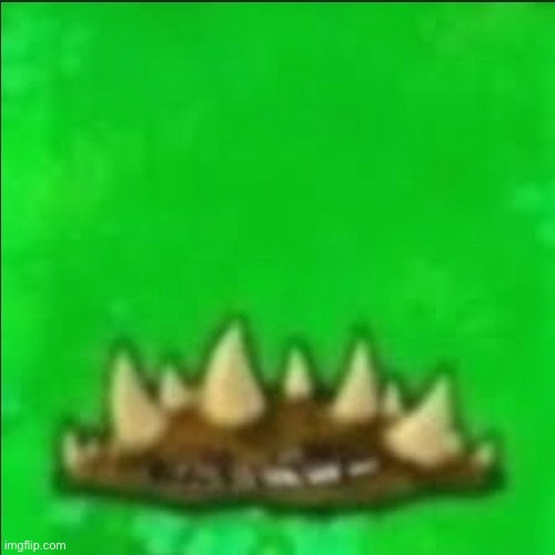 No tengo ni idea | image tagged in no tengo ni idea | made w/ Imgflip meme maker