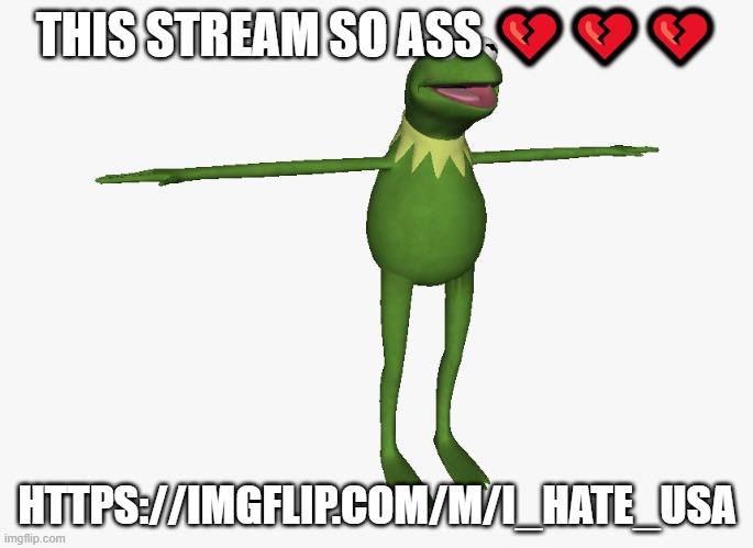 T Pose Kermit | THIS STREAM SO ASS 💔💔💔; HTTPS://IMGFLIP.COM/M/I_HATE_USA | image tagged in t pose kermit | made w/ Imgflip meme maker