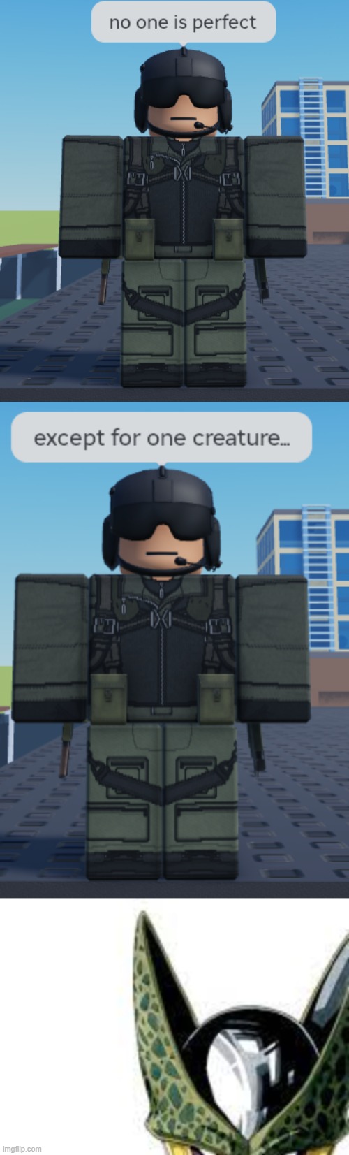 no one is perfect | made w/ Imgflip meme maker