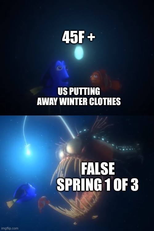 finding nemo angler fish | 45F +; US PUTTING AWAY WINTER CLOTHES; FALSE SPRING 1 OF 3 | image tagged in finding nemo angler fish | made w/ Imgflip meme maker