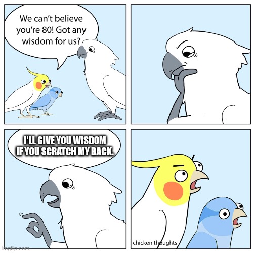 Really? | I'LL GIVE YOU WISDOM IF YOU SCRATCH MY BACK. | image tagged in chicken thoughts the wise old bird | made w/ Imgflip meme maker