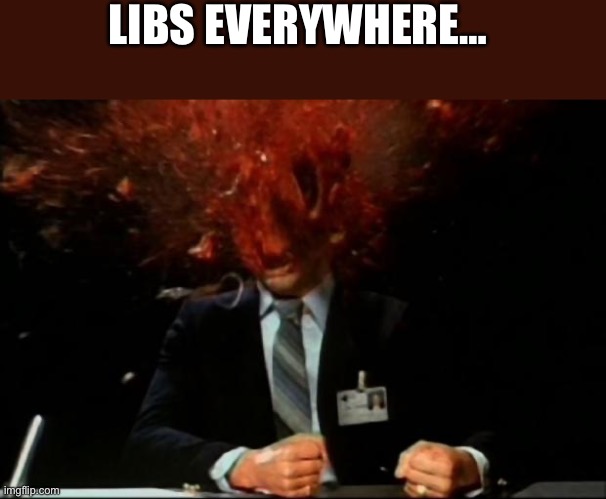 head explode | LIBS EVERYWHERE… | image tagged in head explode | made w/ Imgflip meme maker