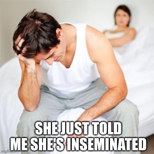 Sexless Marriage Guy | SHE JUST TOLD ME SHE'S INSEMINATED | image tagged in sexless marriage guy | made w/ Imgflip meme maker