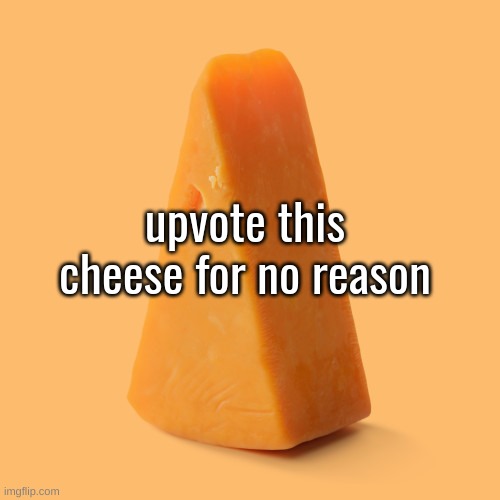 Upvote this cheese for no reason | upvote this cheese for no reason | image tagged in upvote this cheese for no reason | made w/ Imgflip meme maker