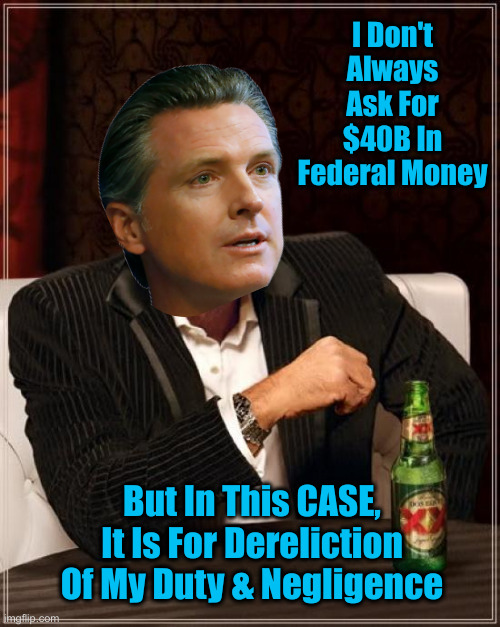 Gafflin Newscum The Schemin' Demon | I Don't Always Ask For $40B In Federal Money; But In This CASE, It Is For Dereliction Of My Duty & Negligence | image tagged in memes,political meme,politics,funny memes,funny,gavin newsom | made w/ Imgflip meme maker