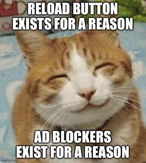 Happy cat | RELOAD BUTTON EXISTS FOR A REASON AD BLOCKERS EXIST FOR A REASON | image tagged in happy cat | made w/ Imgflip meme maker