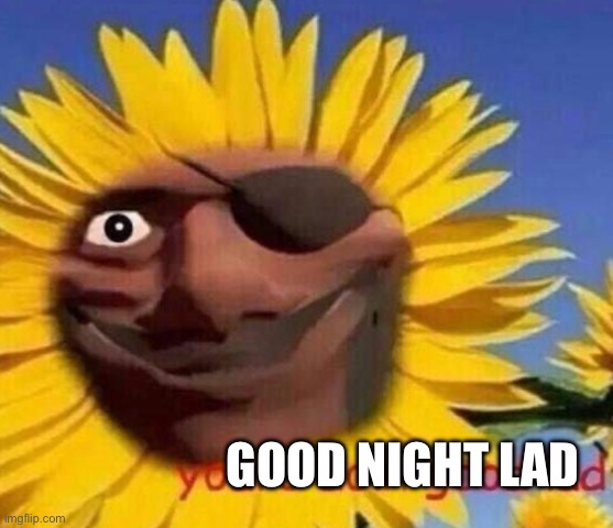 Demo sunflower | GOOD NIGHT LAD | image tagged in demo sunflower | made w/ Imgflip meme maker