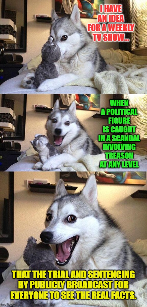 Bad Pun Dog | I HAVE AN IDEA FOR A WEEKLY TV SHOW... WHEN A POLITICAL FIGURE IS CAUGHT IN A SCANDAL INVOLVING TREASON AT ANY LEVEL; THAT THE TRIAL AND SENTENCING BY PUBLICLY BROADCAST FOR EVERYONE TO SEE THE REAL FACTS. | image tagged in memes,bad pun dog | made w/ Imgflip meme maker