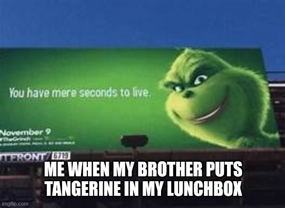 Me when my brother puts Tangerine in my lunchbox | ME WHEN MY BROTHER PUTS TANGERINE IN MY LUNCHBOX | image tagged in you have mere seconds to live | made w/ Imgflip meme maker