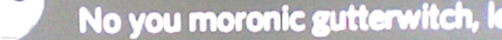 NO YOU MORONIC GUTTERWITCH | image tagged in no you moronic gutterwitch | made w/ Imgflip meme maker