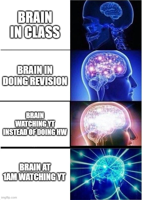 brain | BRAIN IN CLASS; BRAIN IN DOING REVISION; BRAIN WATCHING YT INSTEAD OF DOING HW; BRAIN AT 1AM WATCHING YT | image tagged in memes,expanding brain | made w/ Imgflip meme maker