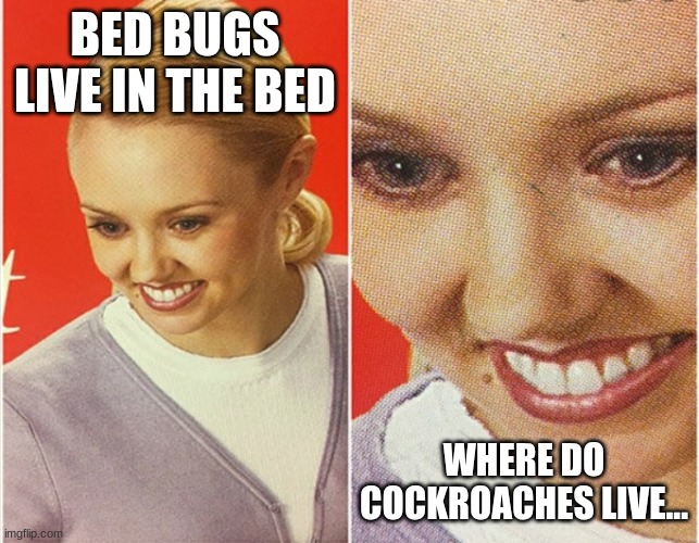 Wait a minuet..... | BED BUGS LIVE IN THE BED; WHERE DO COCKROACHES LIVE... | image tagged in wait what,cursed,eww,make you think,funny | made w/ Imgflip meme maker