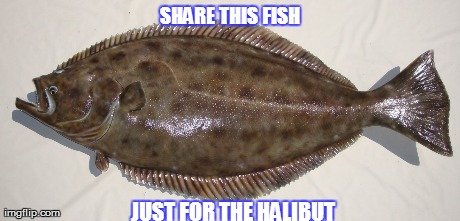 SHARE THIS FISH JUST FOR THE HALIBUT | image tagged in fish | made w/ Imgflip meme maker