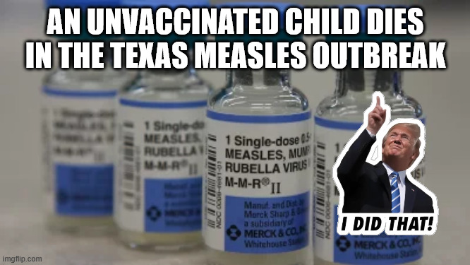 Idiot magats get manipulated into science denialism. That's ok - you got some cool maga swag in the deal. | AN UNVACCINATED CHILD DIES IN THE TEXAS MEASLES OUTBREAK | image tagged in idiot trump,idiot magats,blood on trumps tiny hands | made w/ Imgflip meme maker