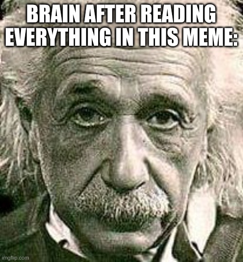 Albert Einstein | BRAIN AFTER READING EVERYTHING IN THIS MEME: | image tagged in albert einstein | made w/ Imgflip meme maker