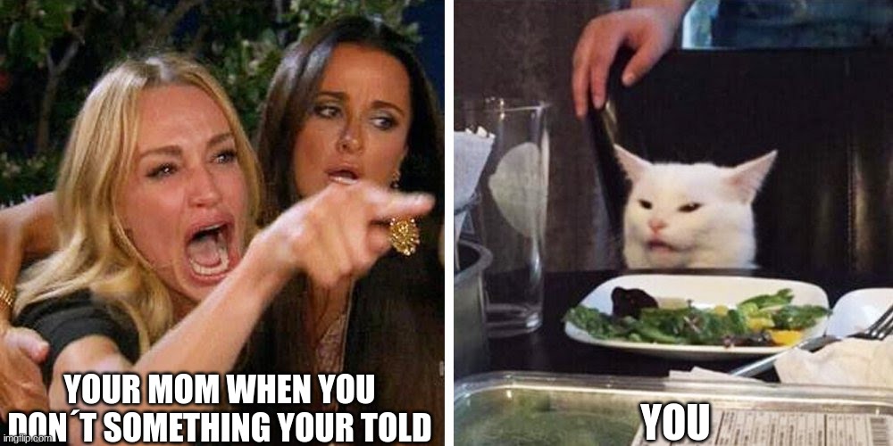 Smudge the cat | YOUR MOM WHEN YOU DON´T SOMETHING YOUR TOLD; YOU | image tagged in smudge the cat | made w/ Imgflip meme maker