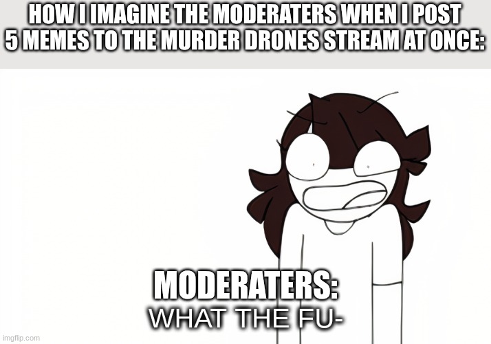 Dunno | HOW I IMAGINE THE MODERATERS WHEN I POST 5 MEMES TO THE MURDER DRONES STREAM AT ONCE:; MODERATERS: | image tagged in jaiden animations what the fu- | made w/ Imgflip meme maker