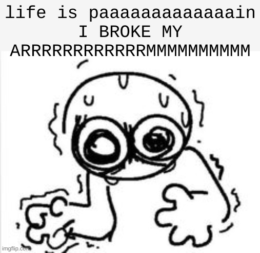 life is paaaaaaaaaaaaain I BROKE MY ARRRRRRRRRRRRMMMMMMMMMM | made w/ Imgflip meme maker