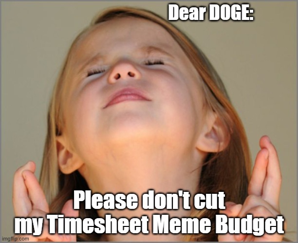 DOGE Don't Cut My Timesheet Memes | Dear DOGE:; Please don't cut my Timesheet Meme Budget | image tagged in little girl praying,doge,timesheets | made w/ Imgflip meme maker