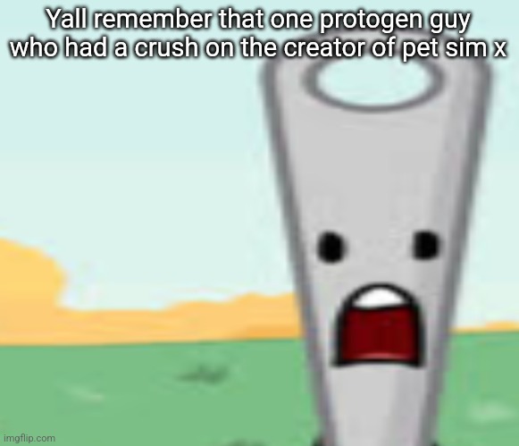 Forgot his name | Yall remember that one protogen guy who had a crush on the creator of pet sim x | image tagged in needle | made w/ Imgflip meme maker