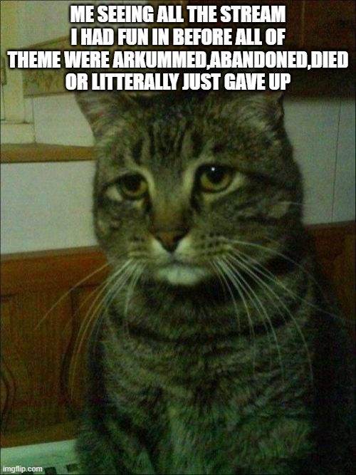 relatable am i right | ME SEEING ALL THE STREAM I HAD FUN IN BEFORE ALL OF THEME WERE ARKUMMED,ABANDONED,DIED OR LITTERALLY JUST GAVE UP | image tagged in memes,depressed cat | made w/ Imgflip meme maker