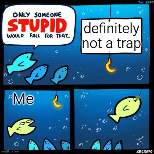 Only someone stupid would fall for that | definitely not a trap; Me | image tagged in only someone stupid would fall for that | made w/ Imgflip meme maker