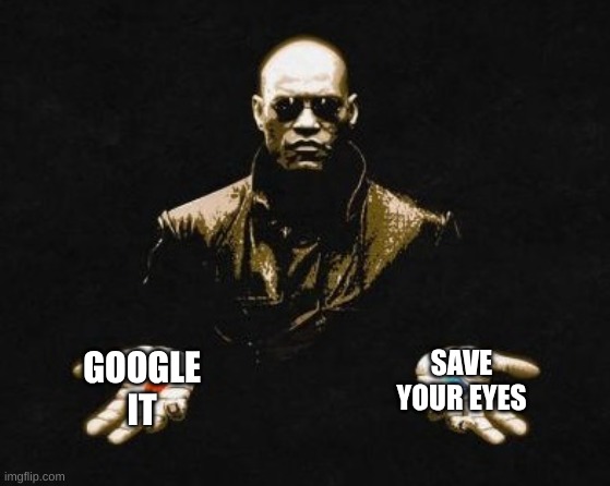 Choices | GOOGLE IT SAVE YOUR EYES | image tagged in choices | made w/ Imgflip meme maker