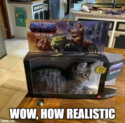 Battle Cat | WOW, HOW REALISTIC | image tagged in cats | made w/ Imgflip meme maker