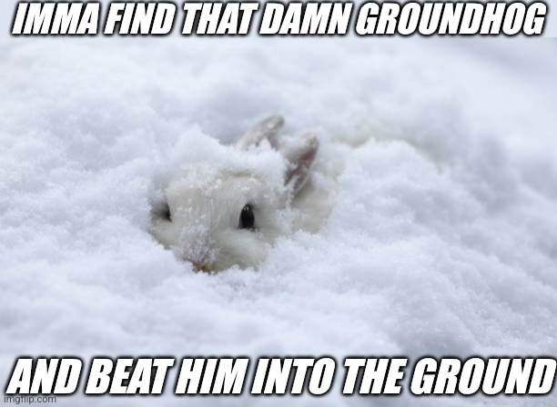 BUNNY ISN'T HAPPY | IMMA FIND THAT DAMN GROUNDHOG; AND BEAT HIM INTO THE GROUND | image tagged in bunny,rabbit,snow,winter | made w/ Imgflip meme maker