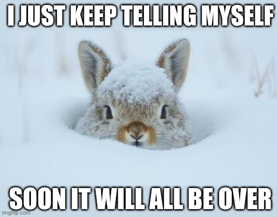 BUNNY IS SICK OF THE SNOW | I JUST KEEP TELLING MYSELF; SOON IT WILL ALL BE OVER | image tagged in bunny,rabbit,winter,snow | made w/ Imgflip meme maker