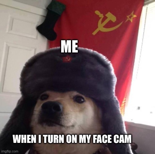 Funny 2 | ME; WHEN I TURN ON MY FACE CAM | image tagged in doggo in soviet russia,xd | made w/ Imgflip meme maker