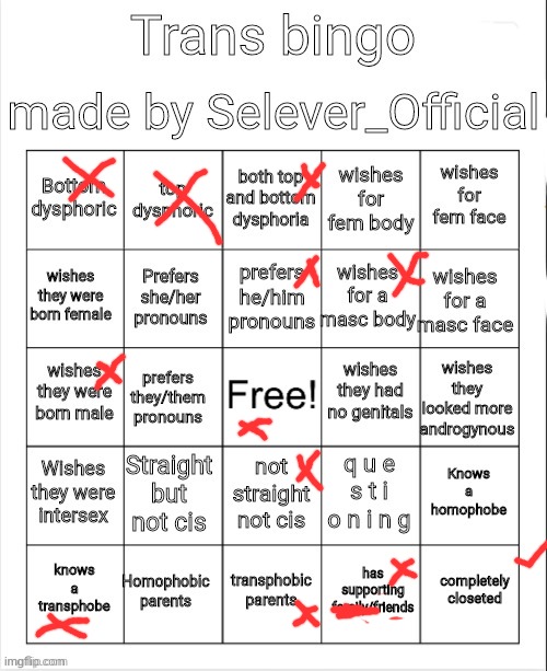 Trans Bingo | image tagged in trans bingo | made w/ Imgflip meme maker