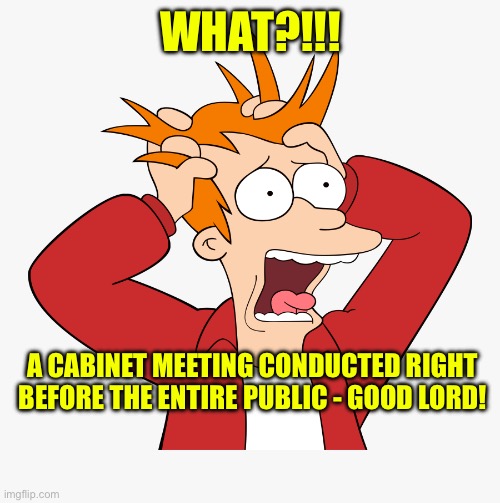 What | WHAT?!!! A CABINET MEETING CONDUCTED RIGHT BEFORE THE ENTIRE PUBLIC - GOOD LORD! | image tagged in what | made w/ Imgflip meme maker