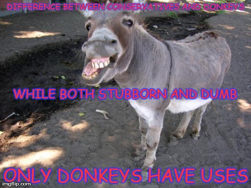Difference between Conservatives and Donkeys | DIFFERENCE BETWEEN CONSERVATIVES AND DONKEYS ONLY DONKEYS HAVE USES WHILE BOTH STUBBORN AND DUMB | image tagged in donkeyface,conservative | made w/ Imgflip meme maker